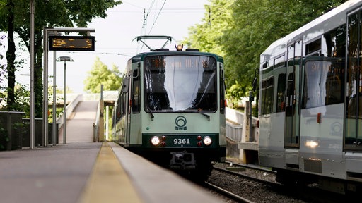 Eine Straßenbahn der SWB fährt in Richtung Bonn.