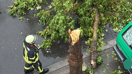 Ein abgebrochener Baum leigt auf der Straße. Davor steht eine Person der Feuerwehr.