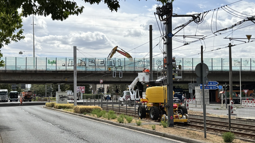 Die Bonner Vorlandbrücke.