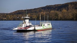 Auf einem Fluss fährt eine weiß-grüne Fähre. Im Hintergrund ist das Ufer mit Bäumen und ein paar Häusern.