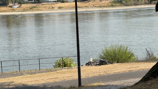 Ein niedrigstehender Fluss, dessen Ufer mit ausgetrocknetem Gras bewachsen sind.
