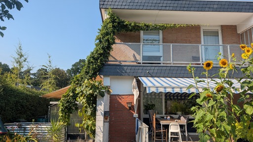 An einem Wohnhaus wächst eine Hopfenpflanze bis zum Balkon hoch. 