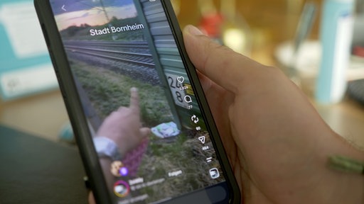 Video des Influencers mit der Lücke im Zaun. 