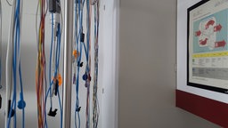 Viele Kabel hängen an einem Metallständer.