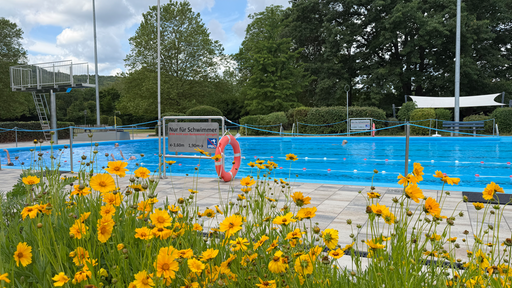 Das Schwimmerbecken des Freibads in Bonn Friesdorf.