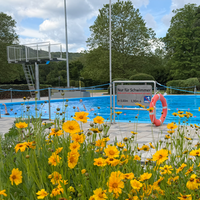 Das Schwimmerbecken des Freibads in Bonn Friesdorf.