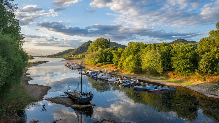 Ein alter Aalschokker an der Insel Grafenwerth am frühen Morgen