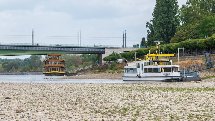 Zwei Schiffe liegen im Rhein bei Niedrigwasser vor der Kennedybrücke