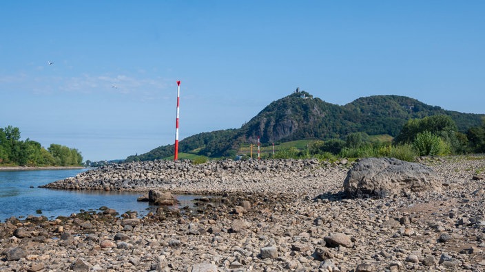 Ein Blick ins Siebengebirge vom Rheinufer bei Niedrigwasser