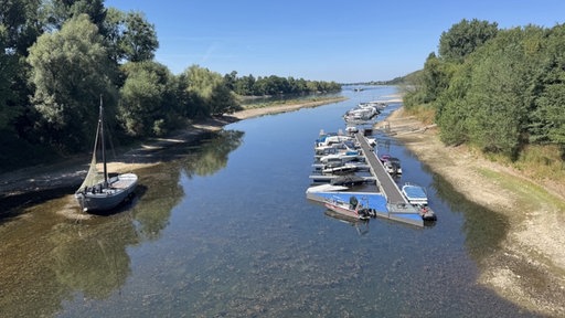 Das niedrige Flussbett des Rheins in Bad Honnef