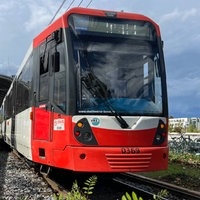Eine Straßenbahn steht an einer Haltestelle in Bonn.
