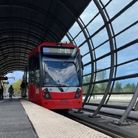 Eine Straßenbahn steht an einer Haltestelle in Bonn.