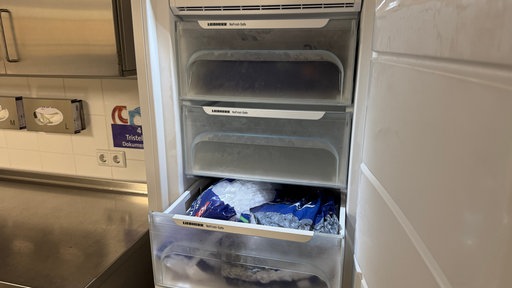 man sieht einen geöffneten Eisschrank, darin liegen Tüten mit Eiswürfeln.