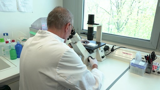 Projektleiter Prof. Hubert Schorle steht bei seinem Mitarbeiter am Mikroskop