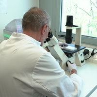 Projektleiter Prof. Hubert Schorle steht bei seinem Mitarbeiter am Mikroskop