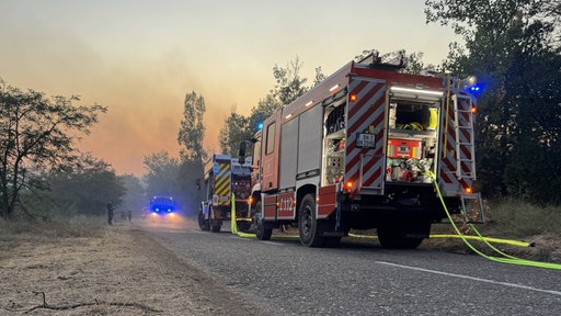 Mehrere Löschfahrzeuge der Feuerwehr im Einsatz