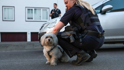 Ein Hund und eine Polizistin