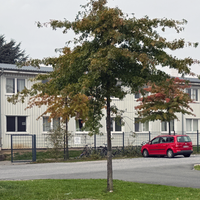Haus mit Parkplatz davor