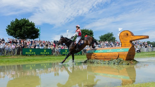 Reiter springt mit seinem Pferd über ein Hindernis in eine Pfütze