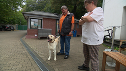 Ein Mann hält einen Hund an der Leine. Eine Frau steht neben den beiden. Beide gucken den Hund an. 