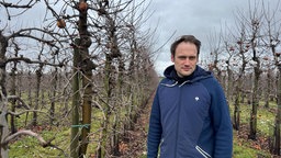 Ein Mann in blauer Jacke steht auf einem Feld, auf dem boden wächst Gras, hinter dem mann stehen Apfelbäume in einer graden Reihe.