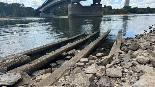Die Überreste eines Trajekts, im Hintergrund der Rhein. 
