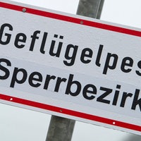 Ein Schild mit der Aufschrift "Geflügelpest Sperrbezirk"