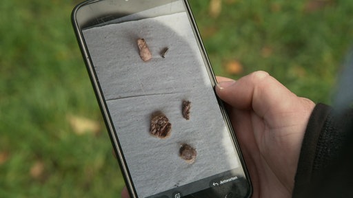 Auf einem Handy ist ein Foto von mit Schrauben präparierten Fleischködern zu sehen