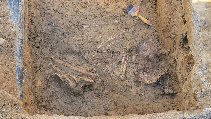 Knochenfunde aus dem Friedhof unterm Elberfelder Neumarkt