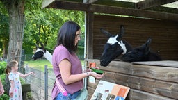 Besucherin füttert Tier