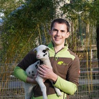 Tiergarten-Leiter Martin Polotzek mit Schaf auf dem Arm