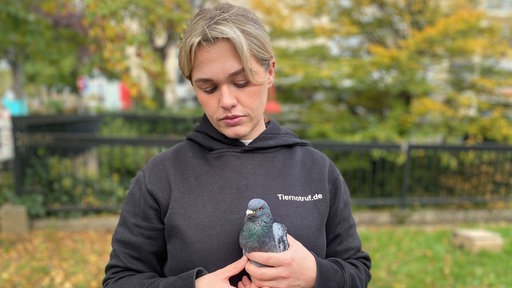 Coco Freudenberg hält eine möglicherweise vergiftete Taube in der Hand.