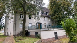 Dreistöckiges, freistehendes Mehrfamilienhaus hinter zwei großen Bäumen