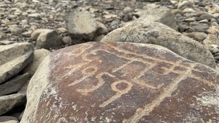 Ein Stein mit einer eingeritzten Jahreszahl "1959"