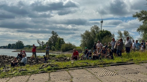 Mehrere Menschen sitzen auf einer Wiese am Rhein