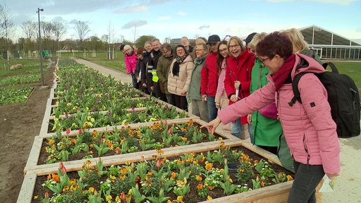Menschen stehen vor einem Blumenbeet 