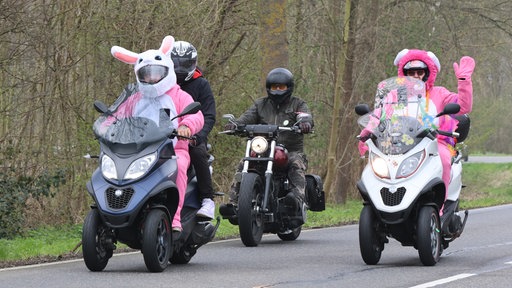 Pinke Hasen auf Motorrad