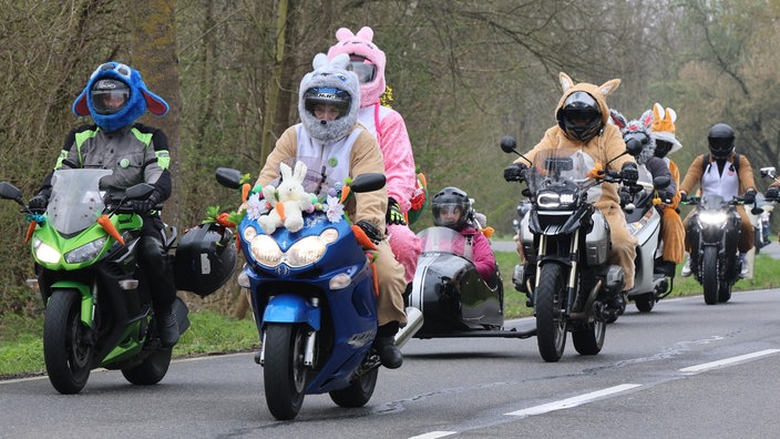 Verkleidete Hasen auf Motorrädern