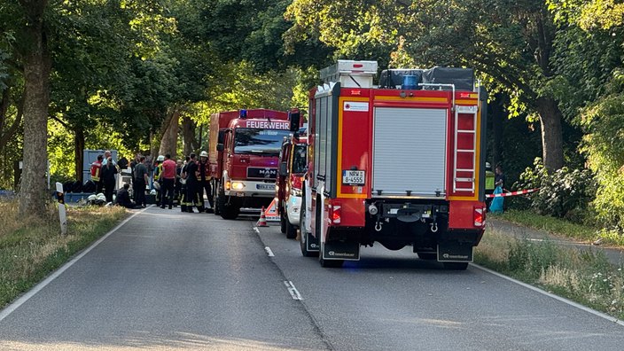 Die Feuerwehr steht im Einsatz auf einer bewaldeten Straße.