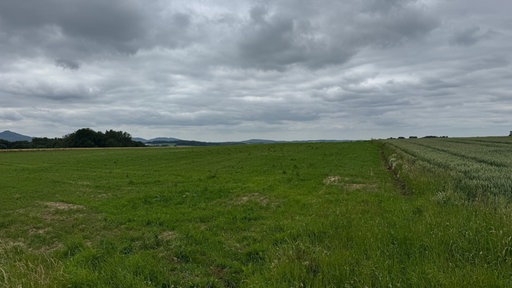 Ein bepflanztes Feld und wolkiger Himmel