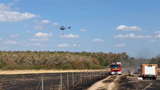 Ein Hubschrauber gießt Wasser über einem Wald aus. Im Vordergrund ist ein verbranntes Feld.