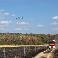 Ein Hubschrauber gießt Wasser über einem Wald aus. Im Vordergrund ist ein verbranntes Feld.