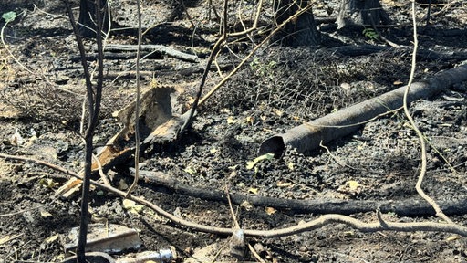 Auf dem Waldboden liegen verkohlte Holzreste. 