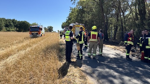 Feuerwehrleute stehen auf einer Straße neben einem Feld. Links von ihnen, auf dem Feld, steht ein Feuerwehrauto. Das Feld ist trocken und verdorrt. 