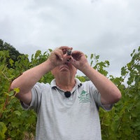Ein Weinbauer in grauem Tshirt steht in seinem Weinberg und schaut durch ein kleines Gerät