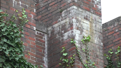 Mauer mit Wasserflecken