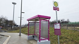 Ersatzhaltestelle in "Verkehrs-Purpur"
