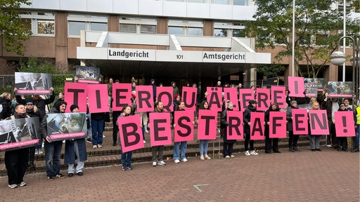 Prozess um Tierquälerei