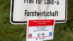 Warnhinweis für afrikanische Schweinepest unter einem Straßenschild