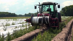 Eine landwirtschaftliches Fahrzeug bei der Spargelernte